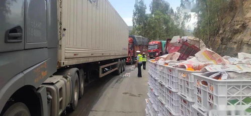 拖掛車側(cè)翻 沃柑灑落一地，華坪民警20小時緊急救援彰顯責(zé)任擔(dān)當(dāng)